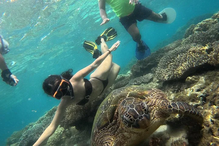 Een snorkelaar duikt naar beneden bij een zeeschildpad die op een koraalrif rust.